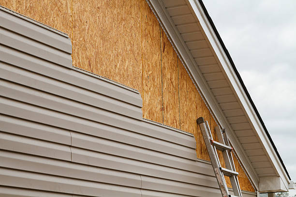 Professional Storm Damage Siding Repair technician working in Paris, VA